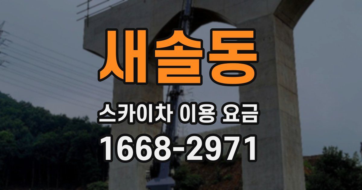새솔동 스카이차 이용 요금