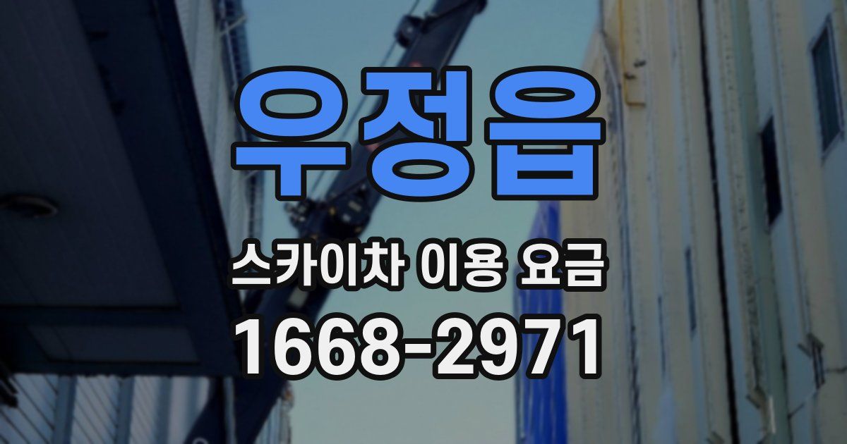 우정읍 스카이차 이용 요금