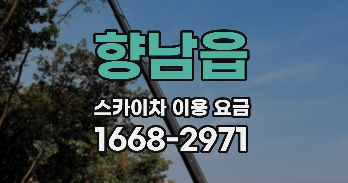 향남읍 스카이차 이용 요금