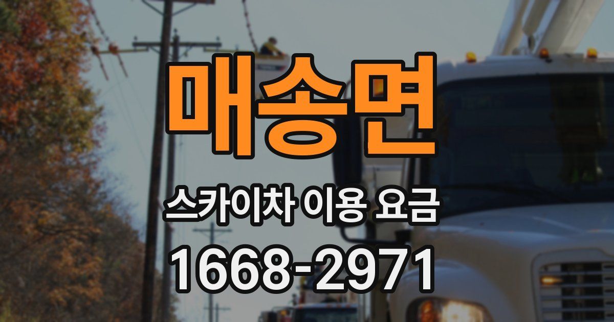 매송면 스카이차 이용 요금
