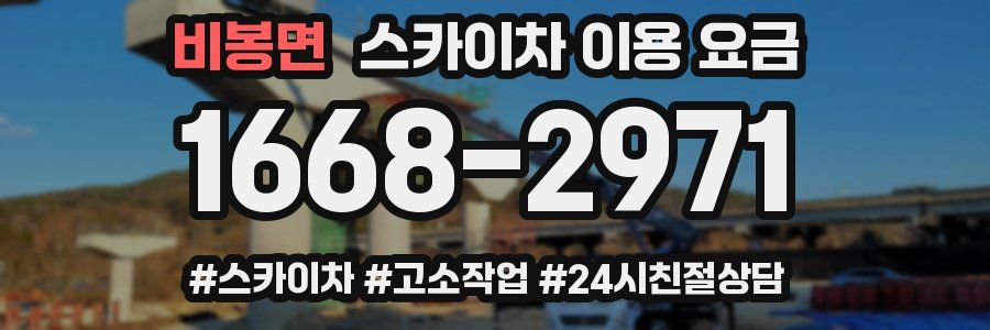 비봉면 스카이차 이용 요금