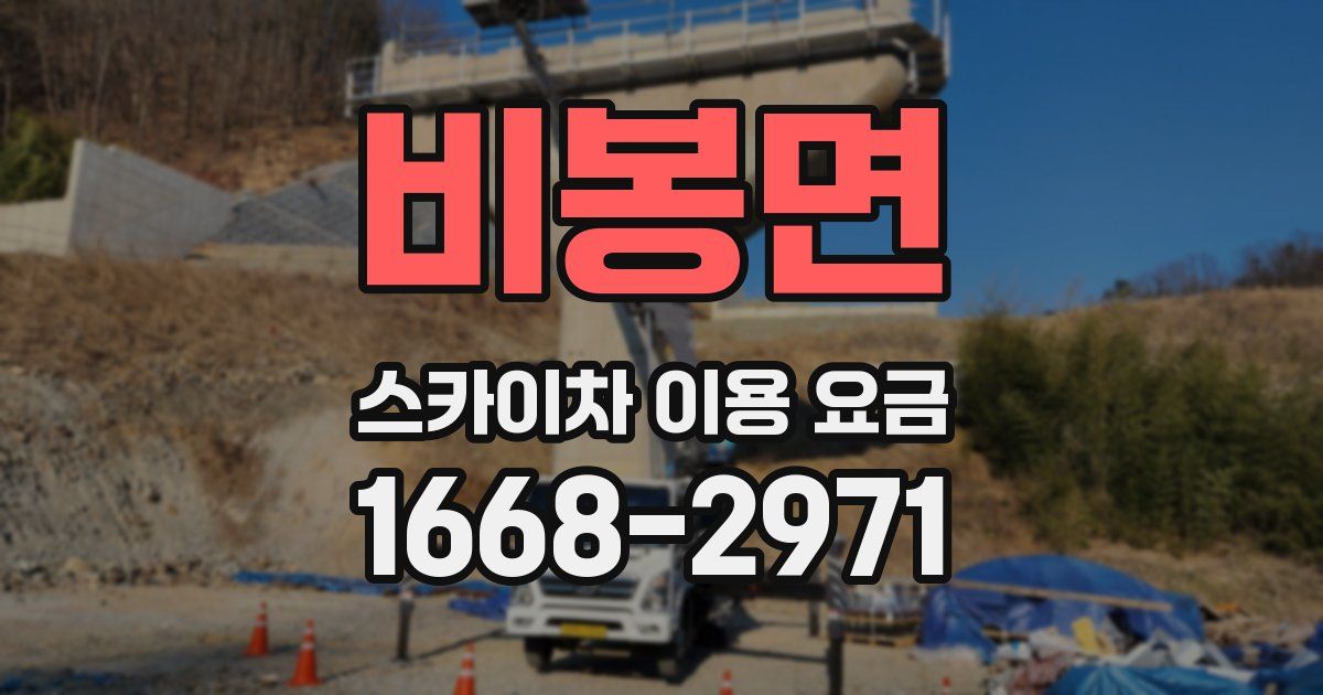 비봉면 스카이차 이용 요금