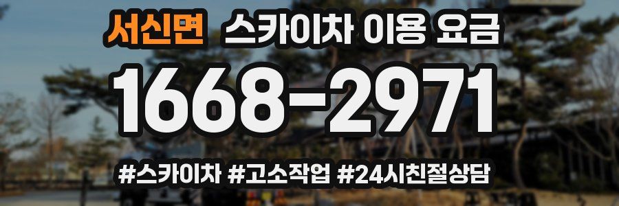 서신면 스카이차 이용 요금