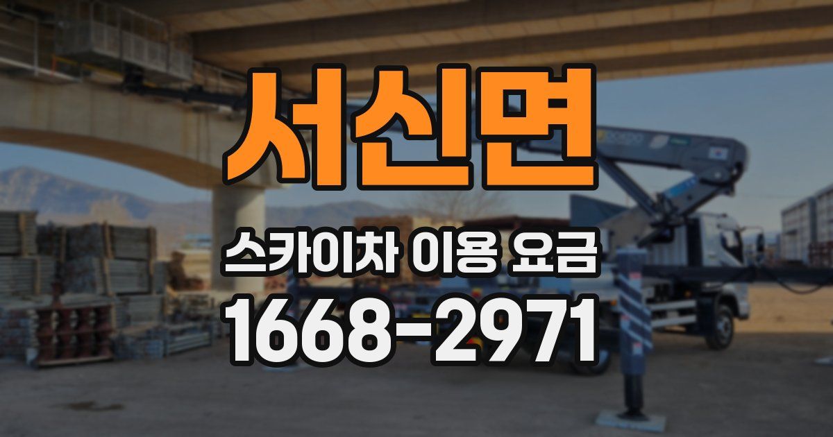 서신면 스카이차 이용 요금