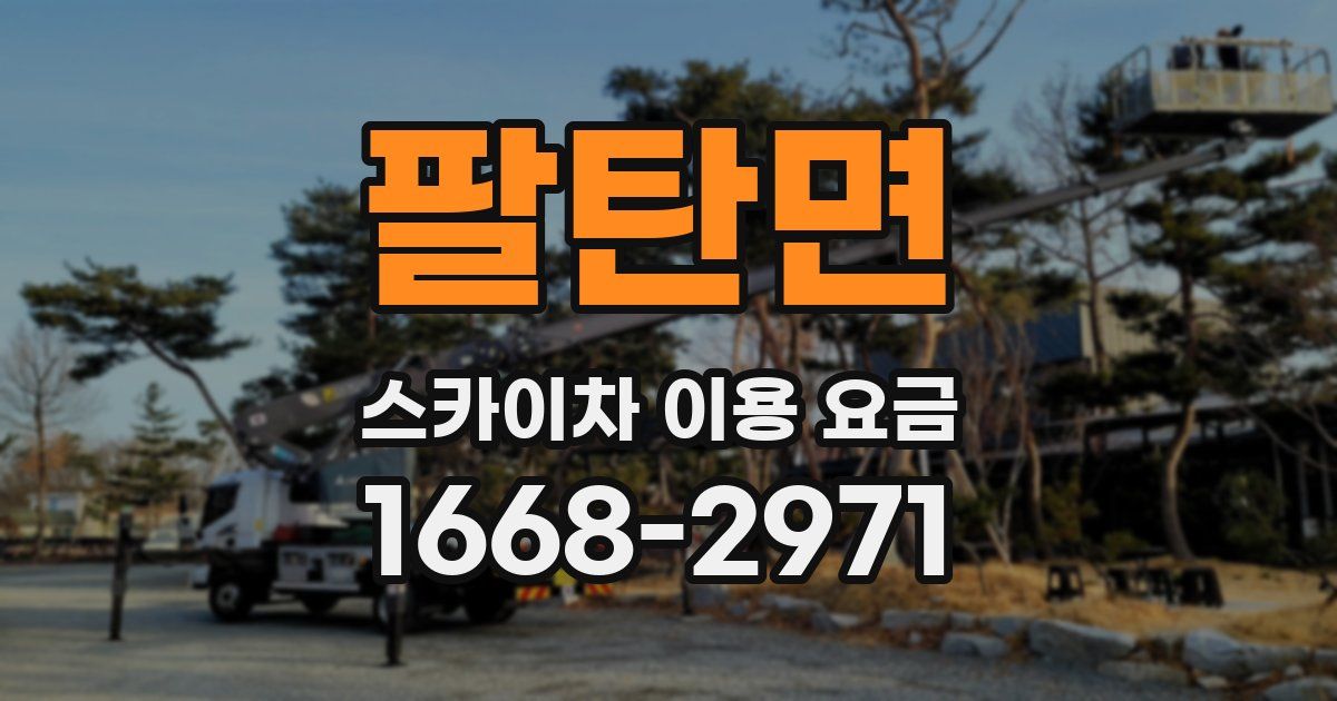 팔탄면 스카이차 이용 요금