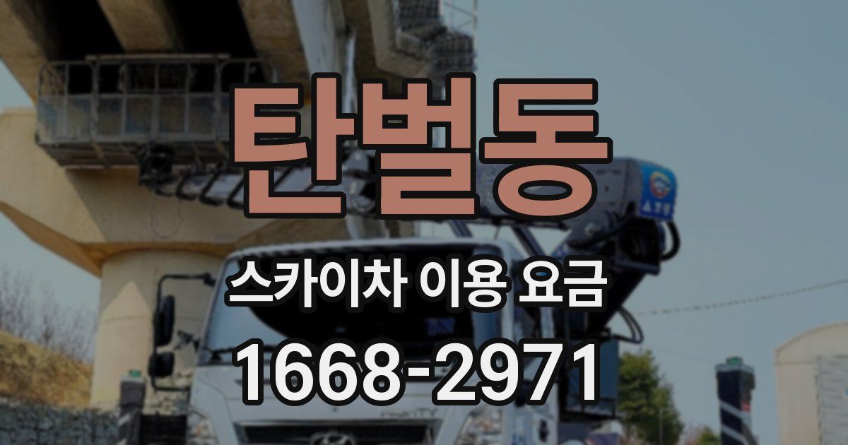 탄벌동 스카이차 이용 요금