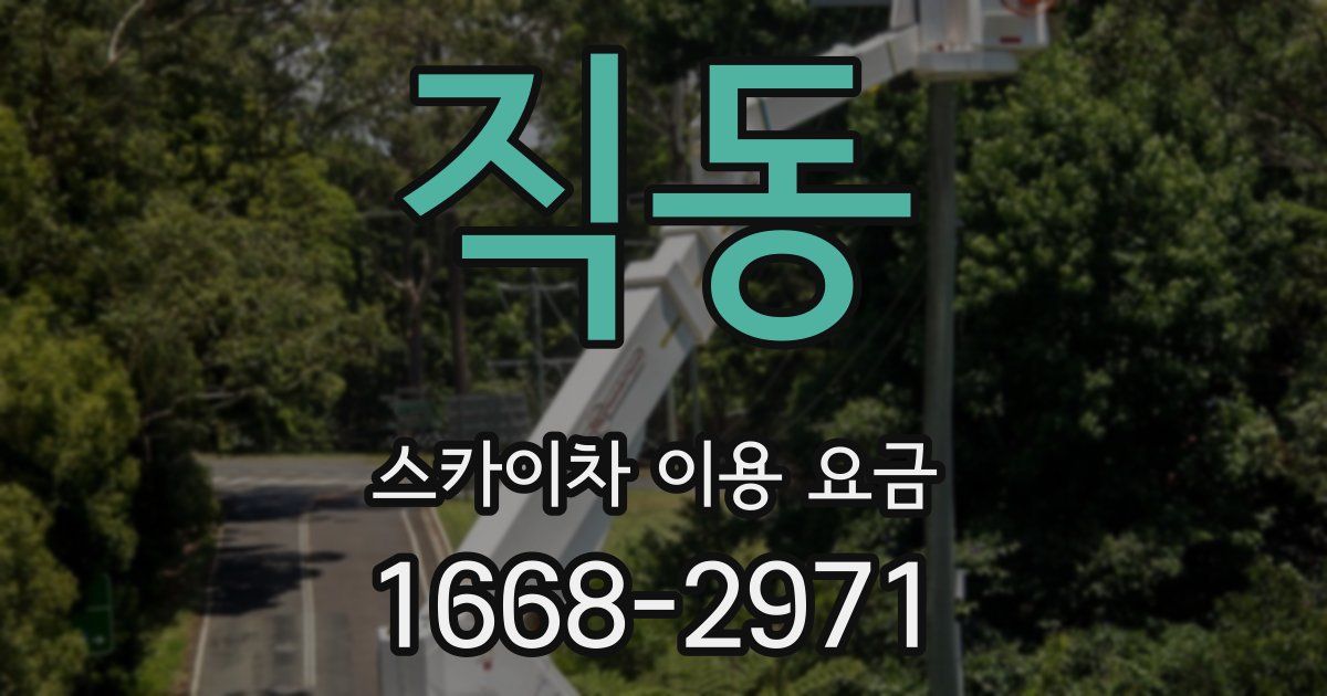 직동 스카이차 이용 요금
