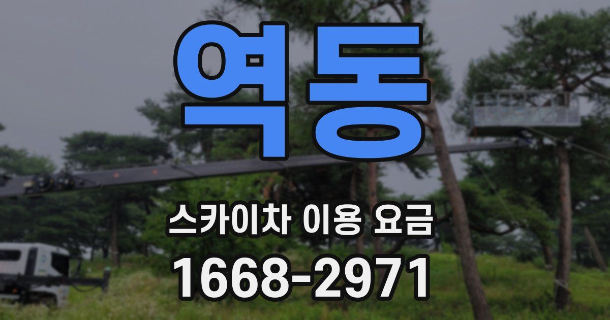 역동 스카이차 이용 요금