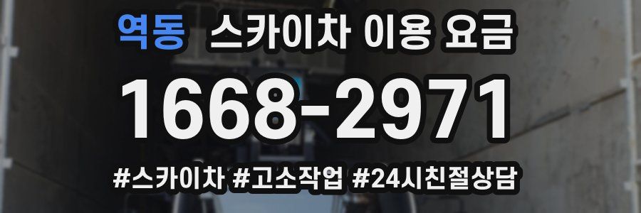 역동 스카이차 이용 요금