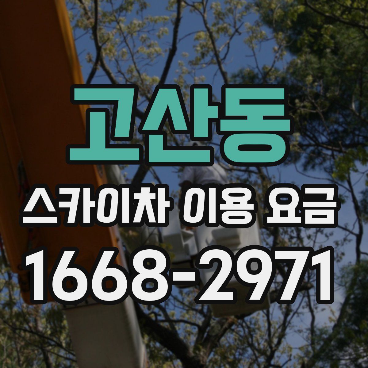 고산동 스카이차 이용 요금