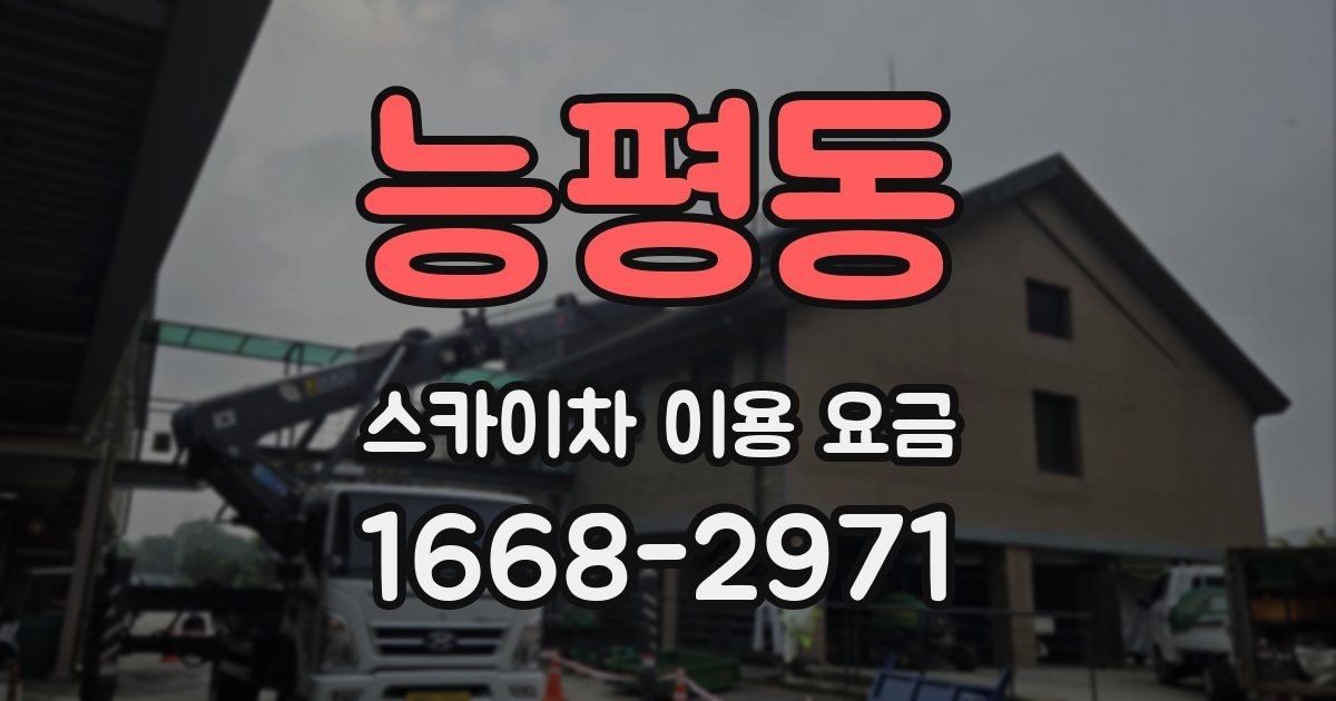 능평동 스카이차 이용 요금
