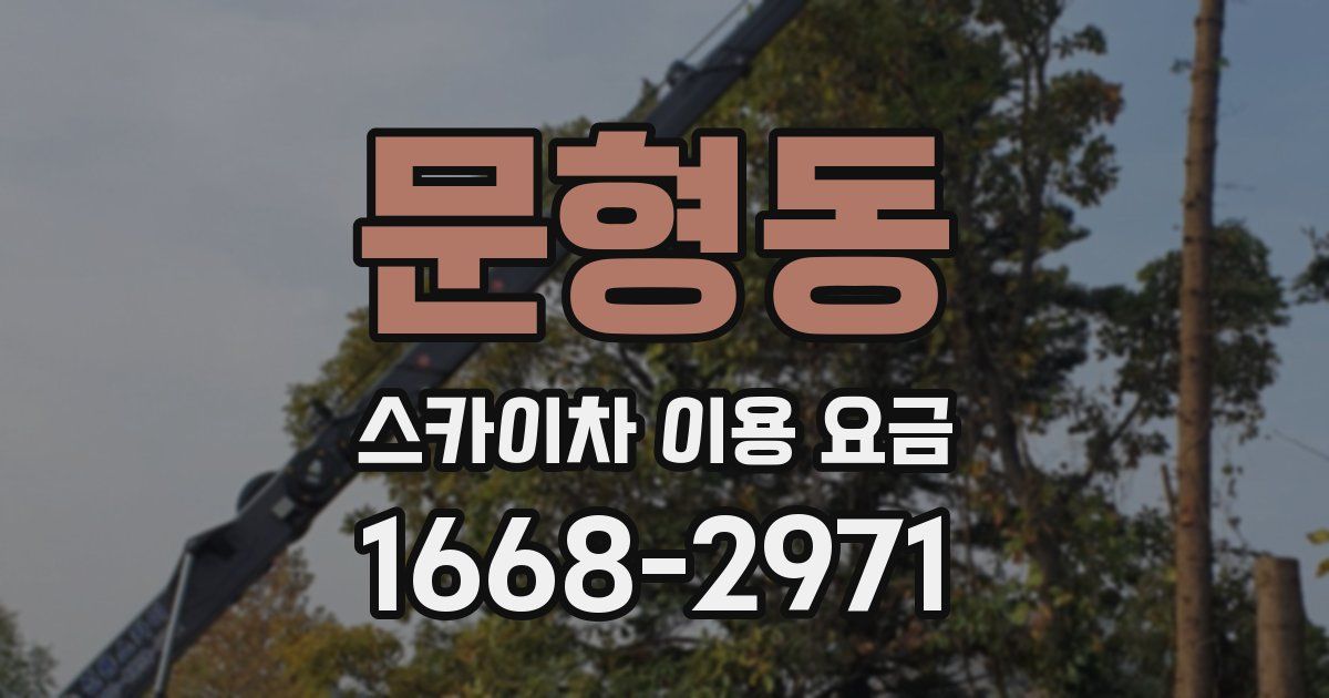 문형동 스카이차 이용 요금