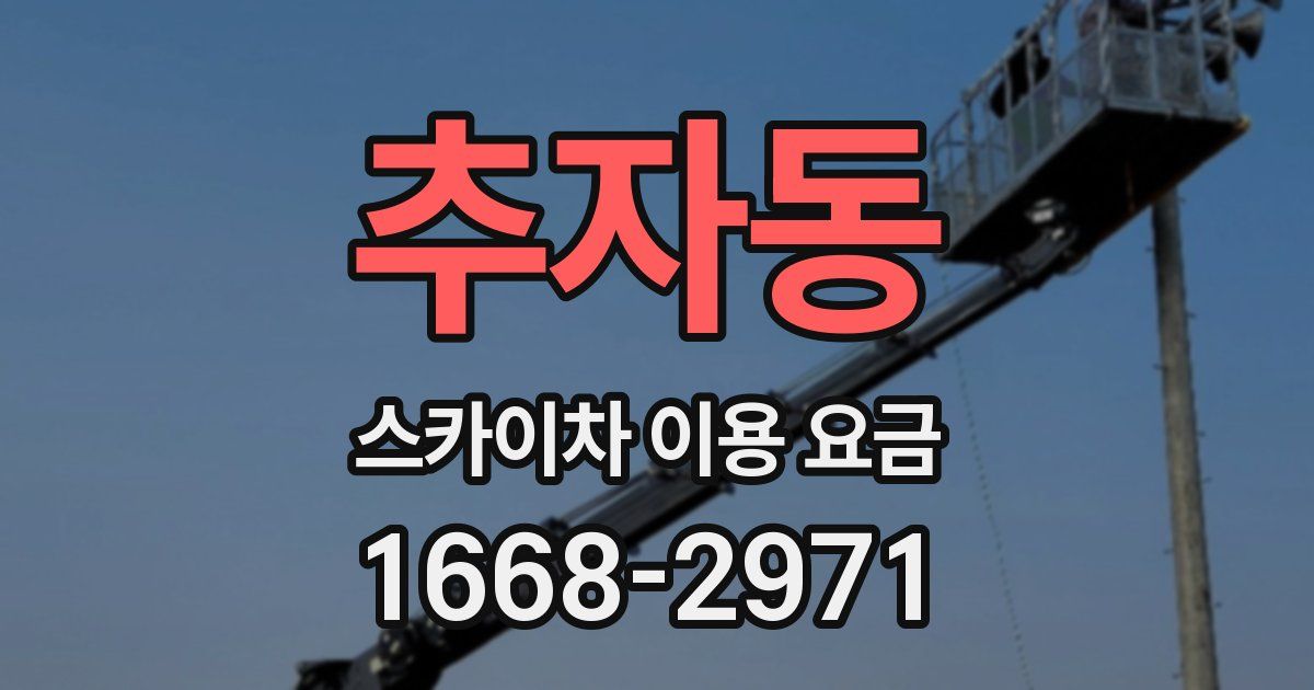추자동 스카이차 이용 요금