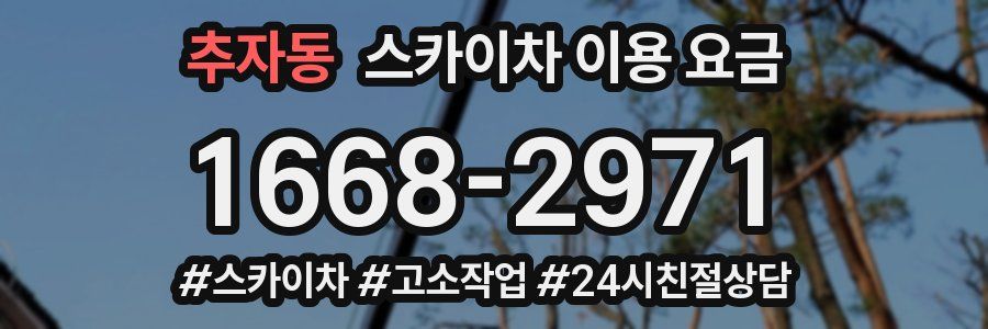 추자동 스카이차 이용 요금