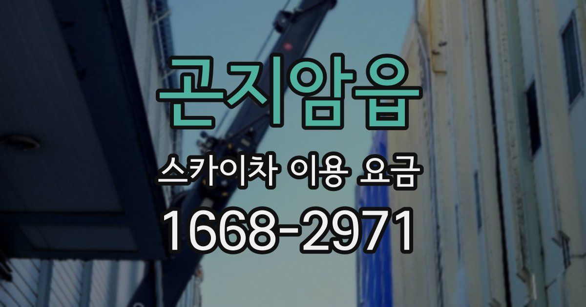 곤지암읍 스카이차 이용 요금