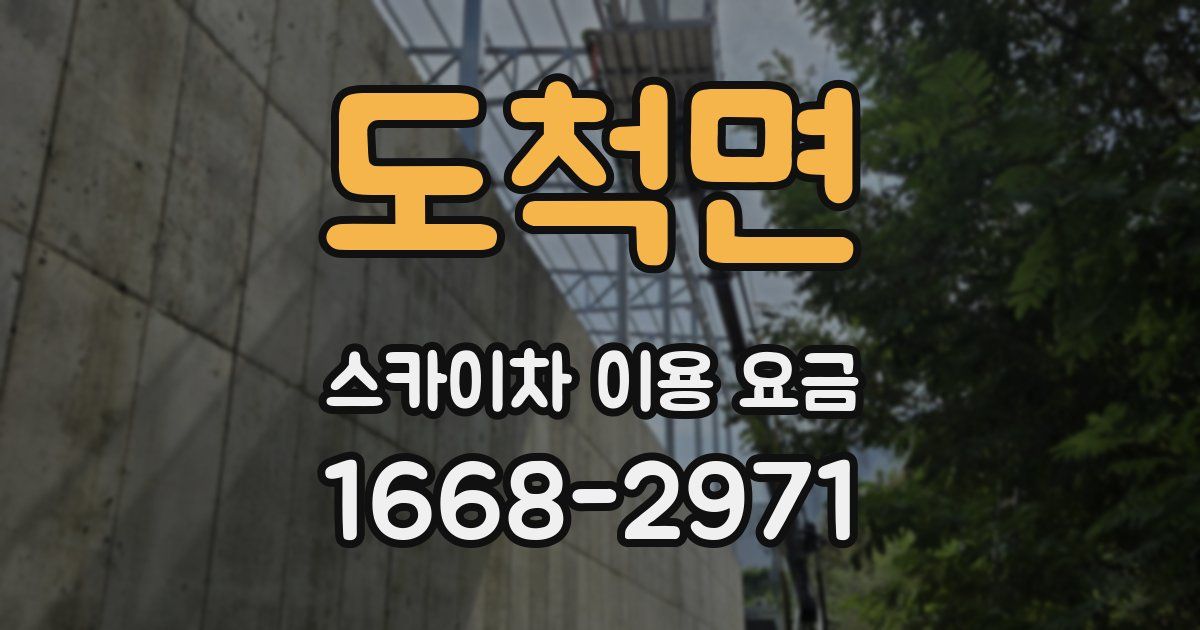 도척면 스카이차 이용 요금