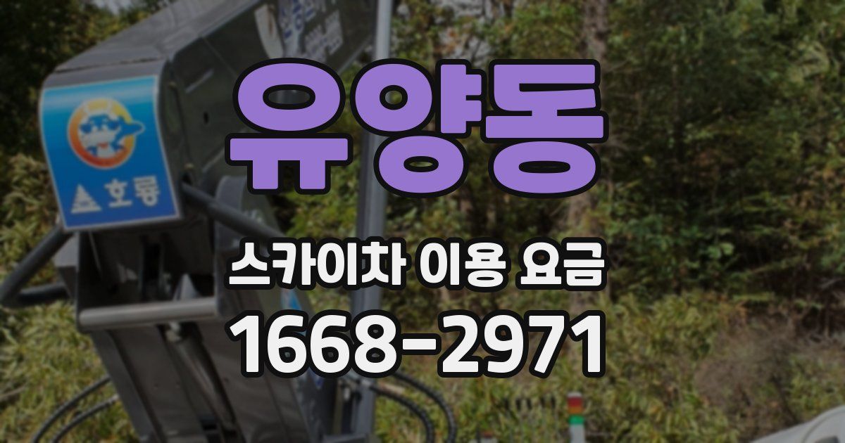 유양동 스카이차 이용 요금