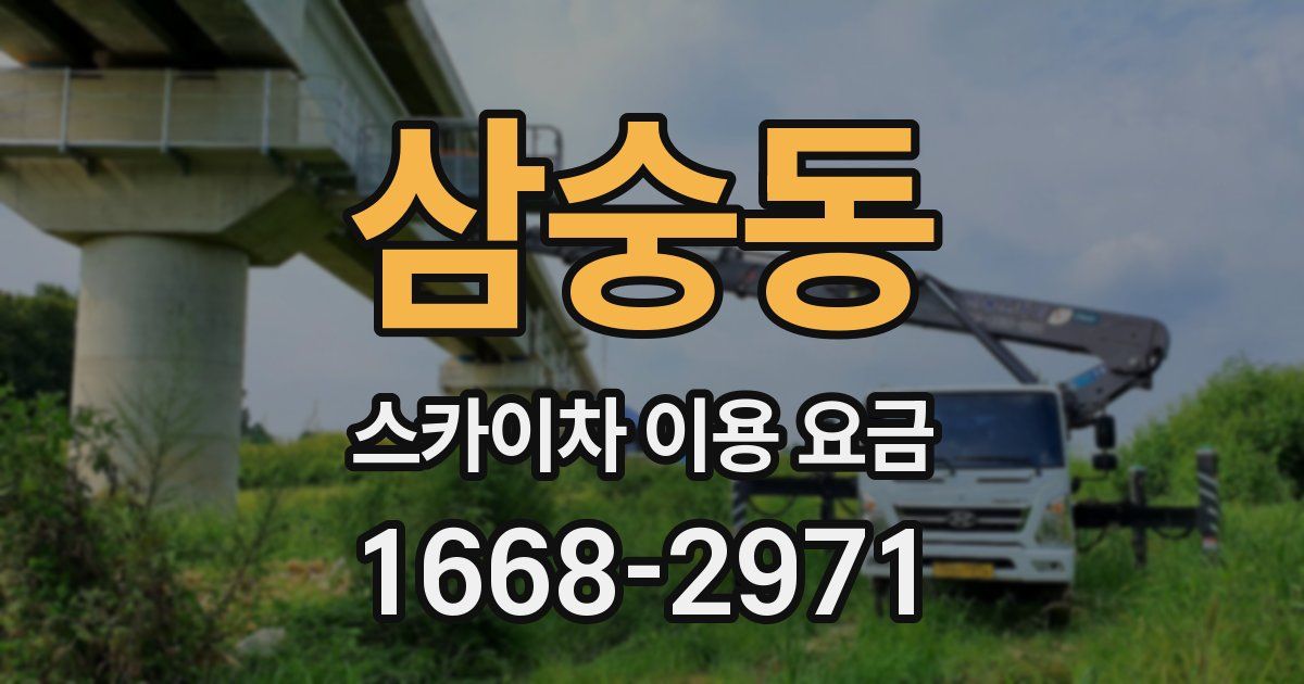 삼숭동 스카이차 이용 요금