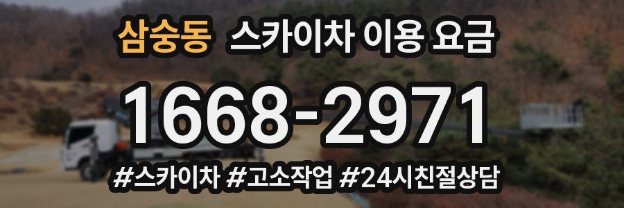 삼숭동 스카이차 이용 요금
