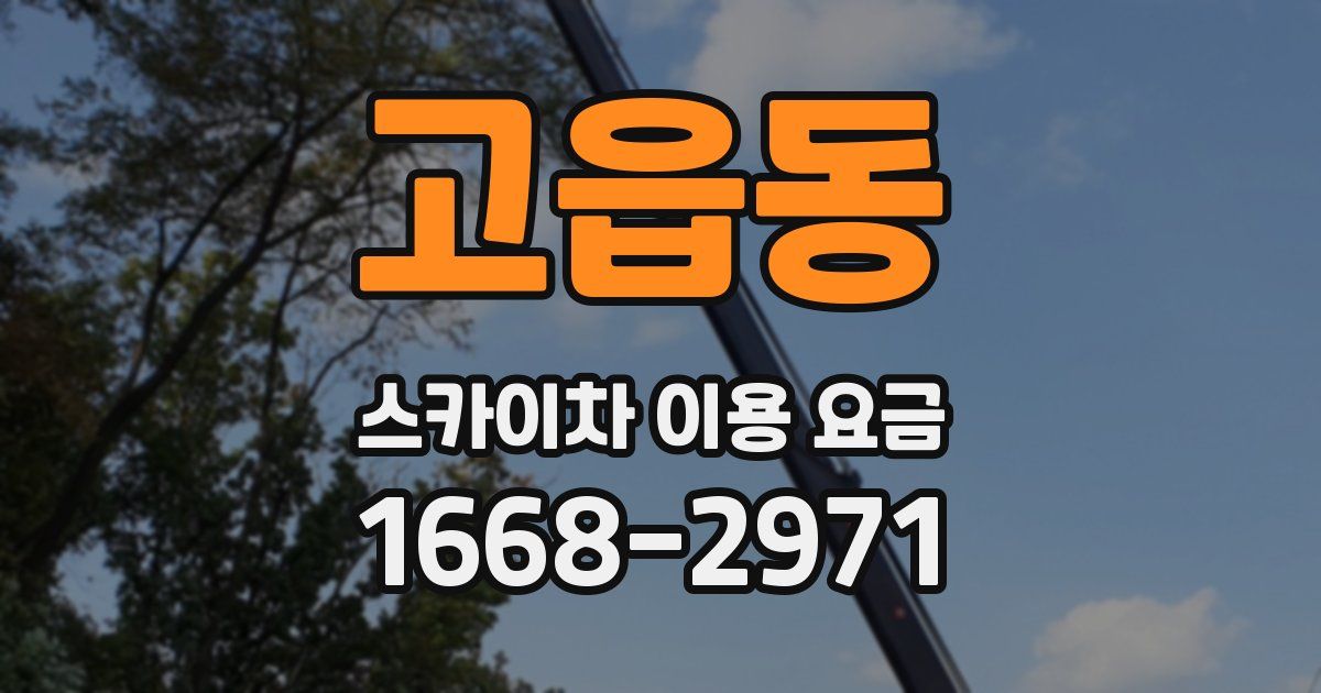 고읍동 스카이차 이용 요금