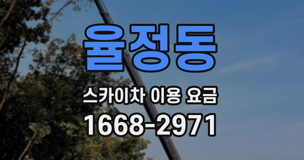 율정동 스카이차 이용 요금