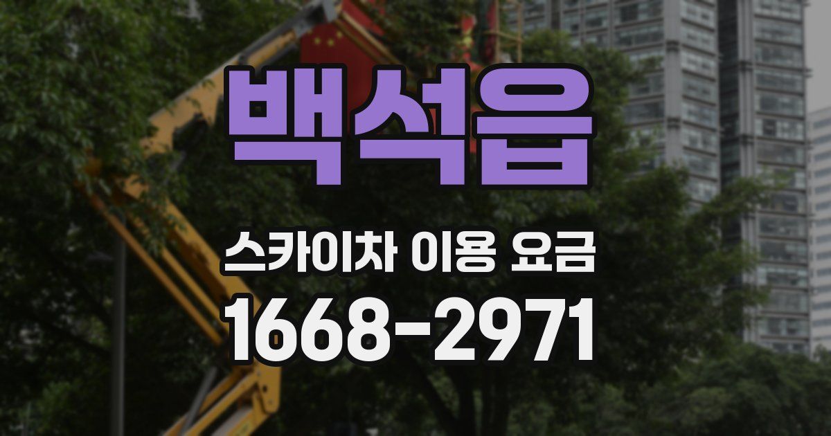 백석읍 스카이차 이용 요금