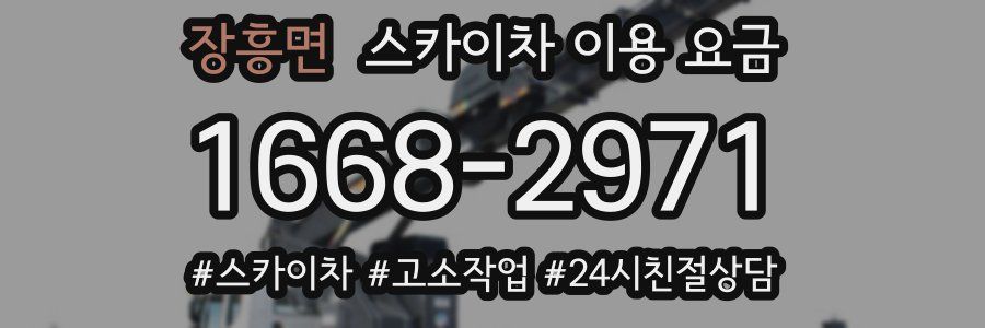 장흥면 스카이차 이용 요금