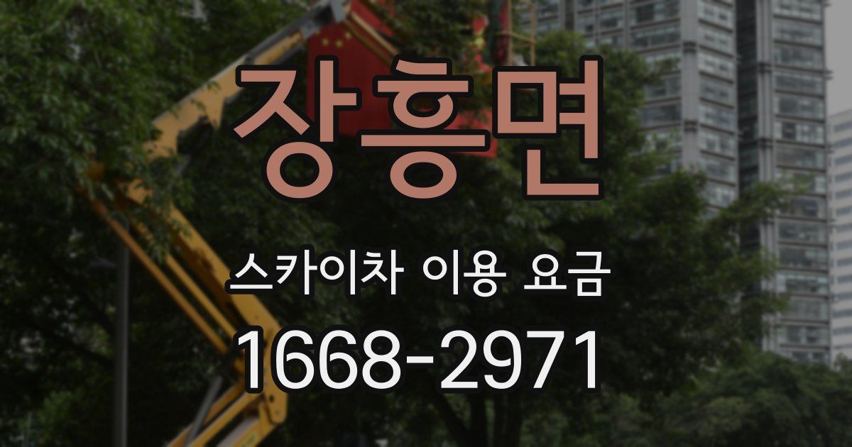 장흥면 스카이차 이용 요금