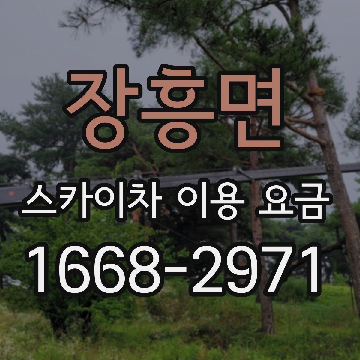 장흥면 스카이차 이용 요금