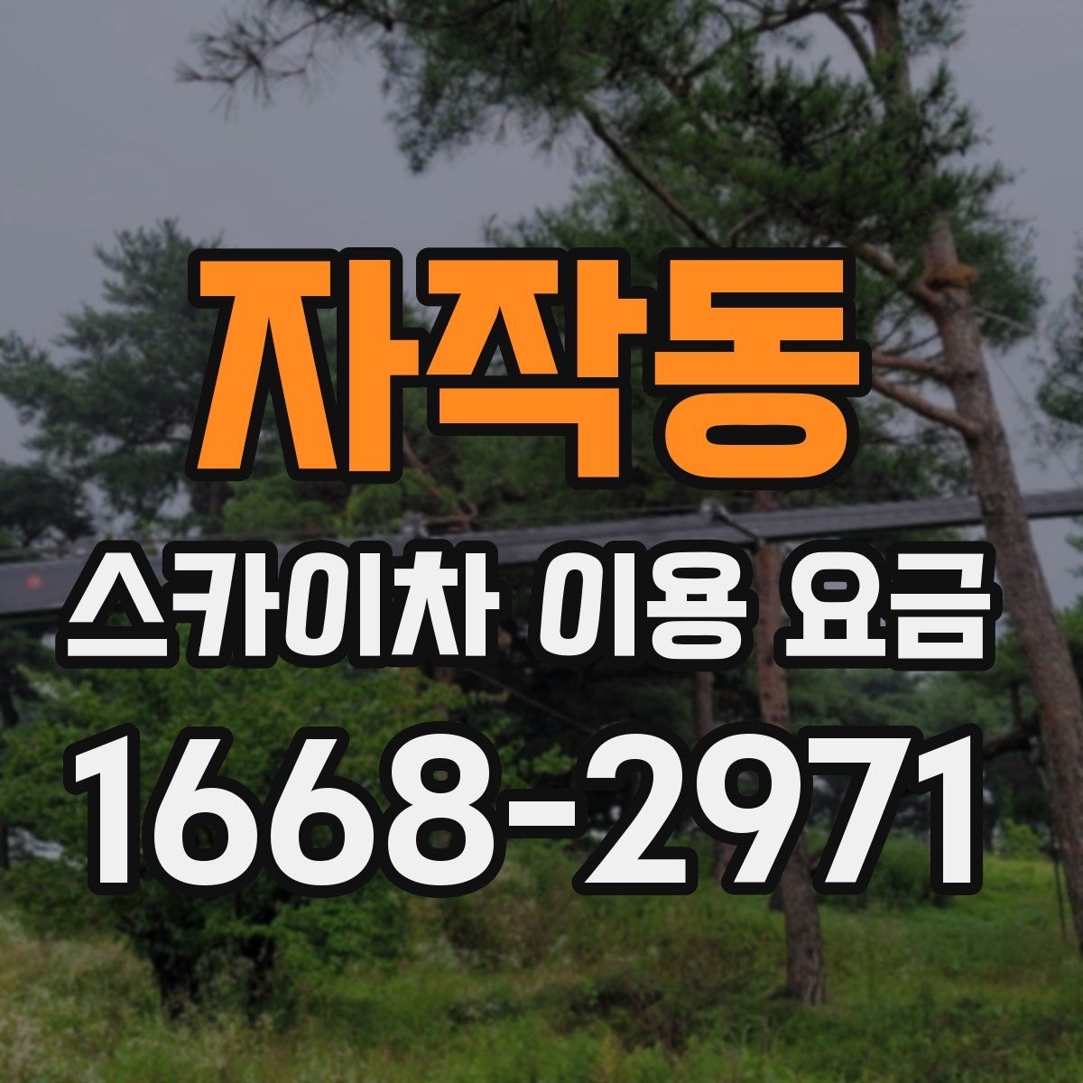 자작동 스카이차 이용 요금