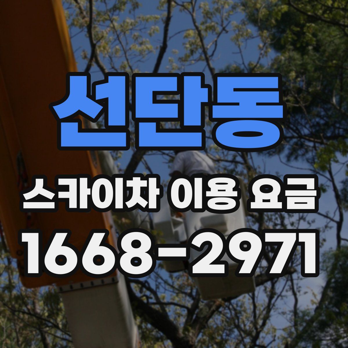 선단동 스카이차 이용 요금