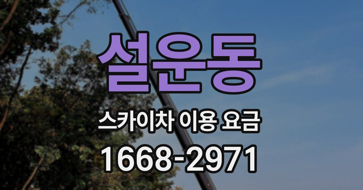 설운동 스카이차 이용 요금