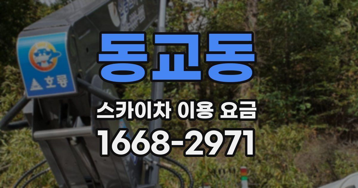 동교동 스카이차 이용 요금