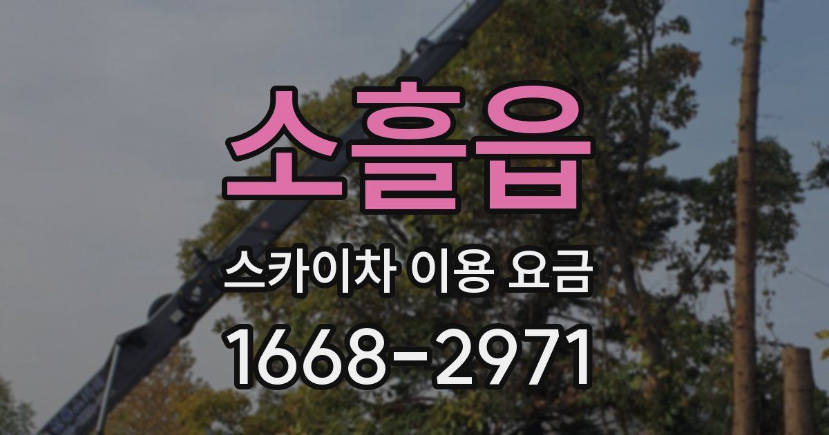 소흘읍 스카이차 이용 요금