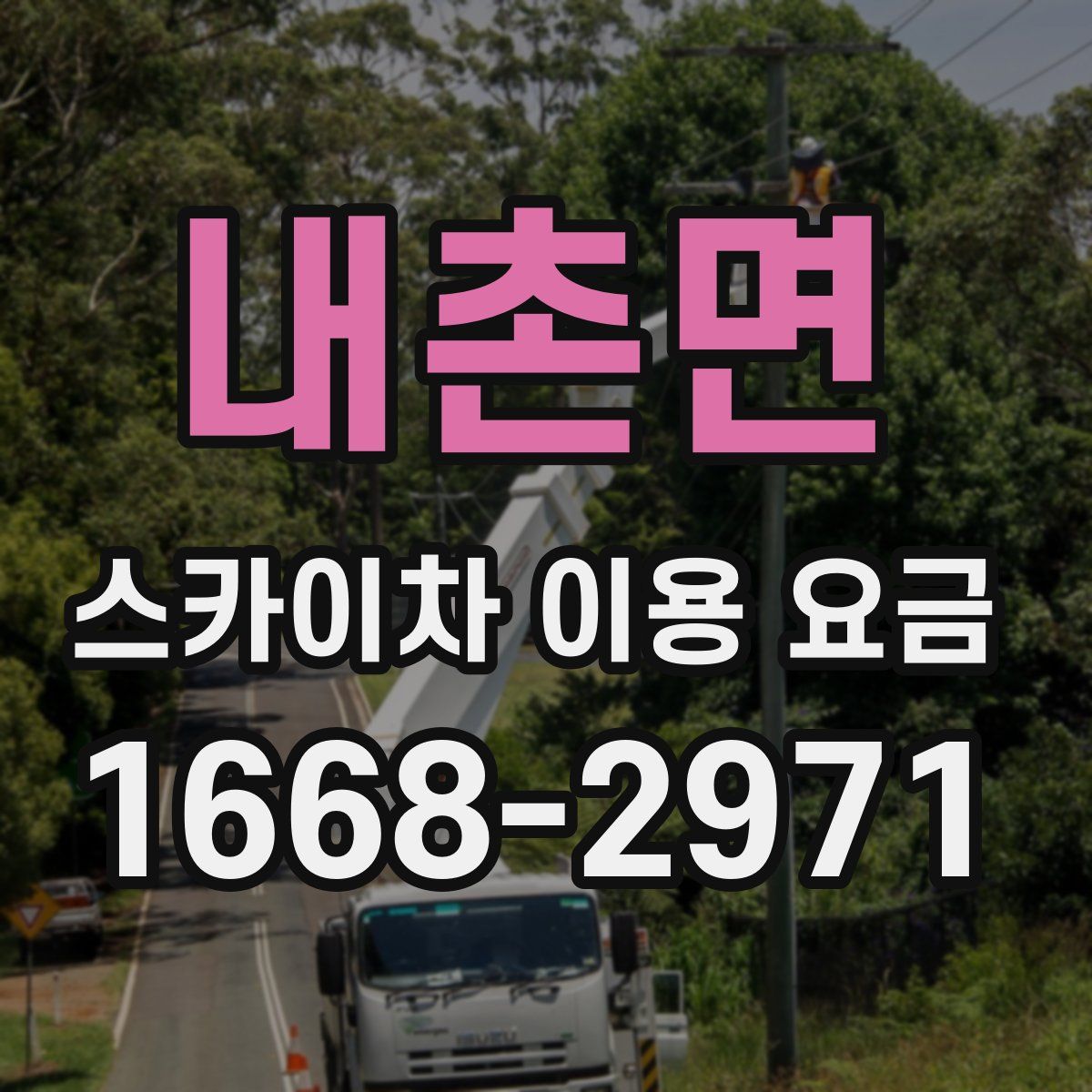 내촌면 스카이차 이용 요금