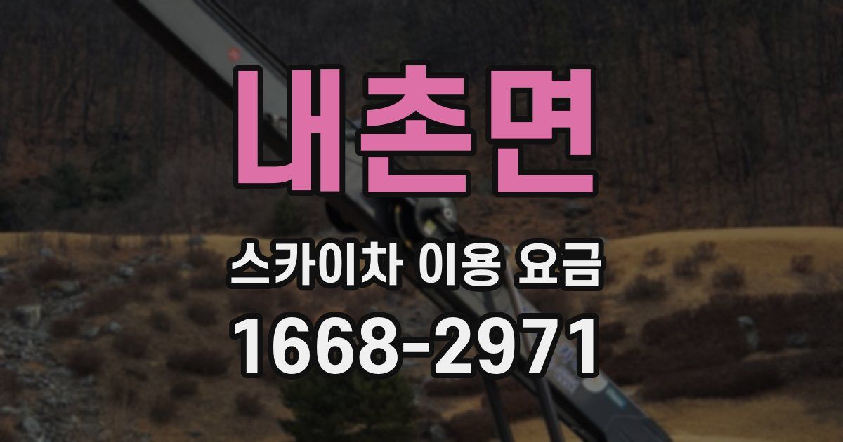 내촌면 스카이차 이용 요금