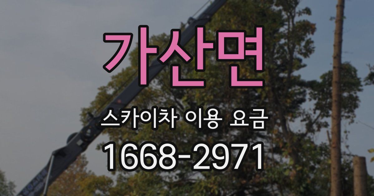 가산면 스카이차 이용 요금