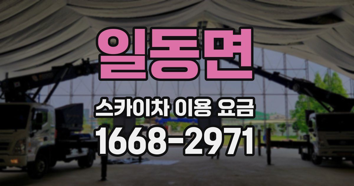 일동면 스카이차 이용 요금