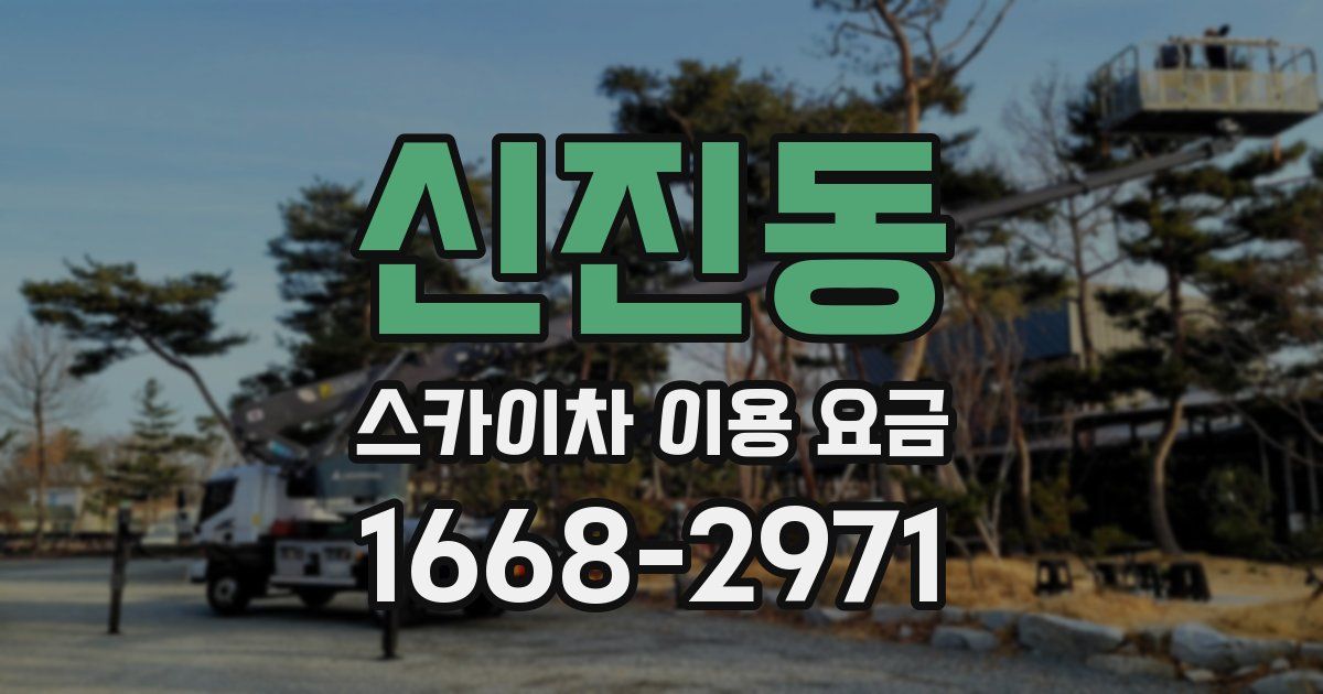 신진동 스카이차 이용 요금