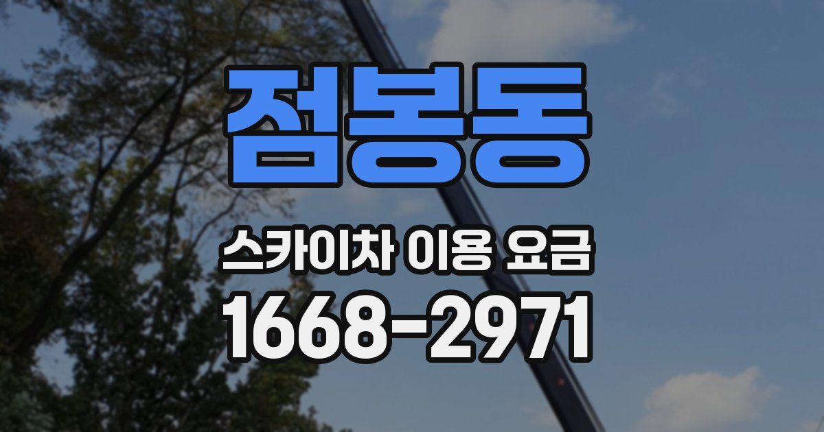 점봉동 스카이차 이용 요금
