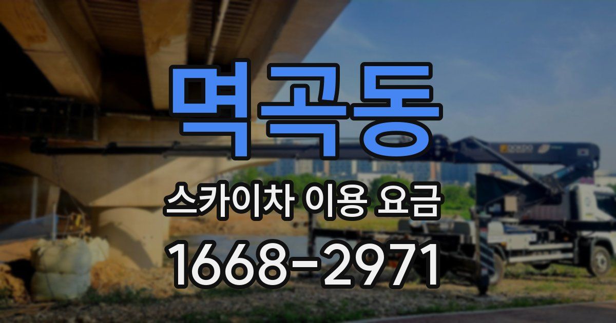 멱곡동 스카이차 이용 요금