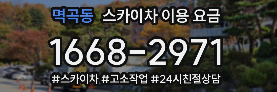 멱곡동 스카이차 이용 요금