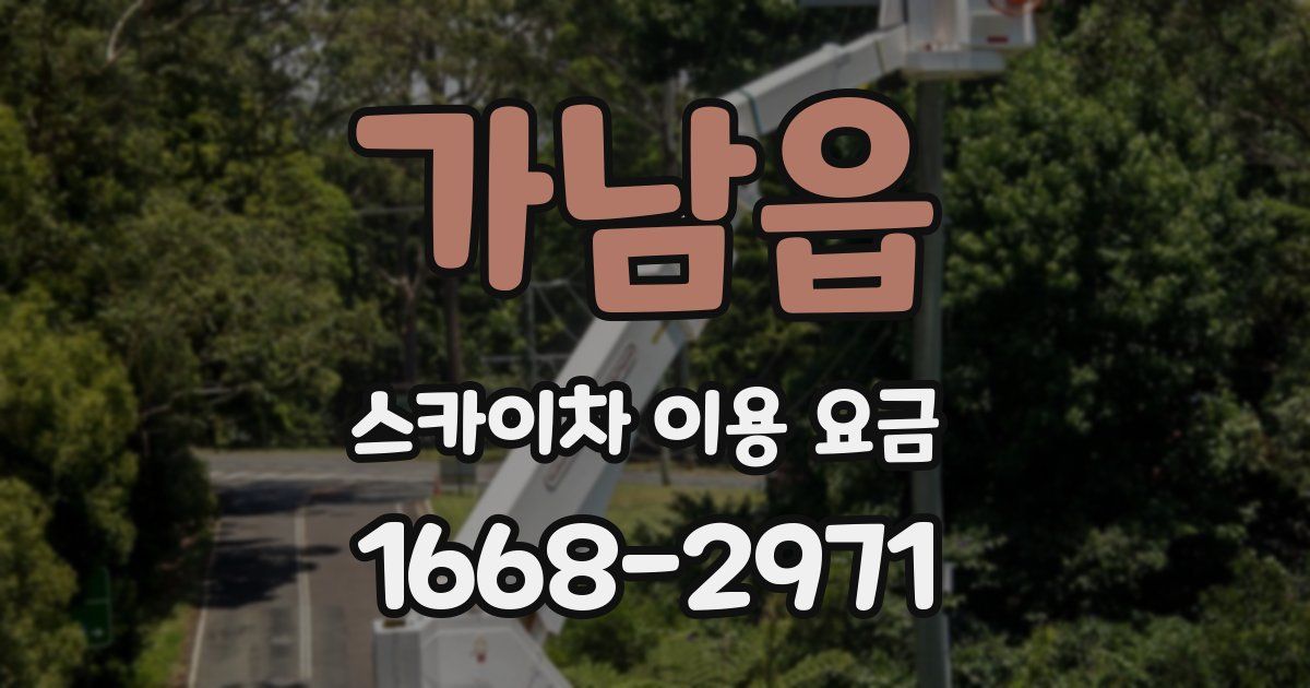 가남읍 스카이차 이용 요금