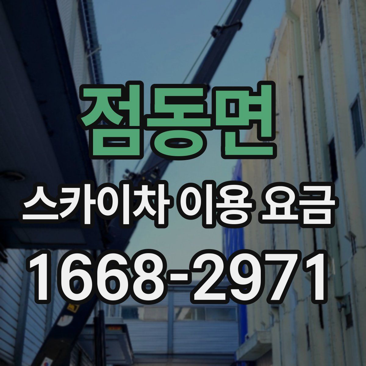 점동면 스카이차 이용 요금