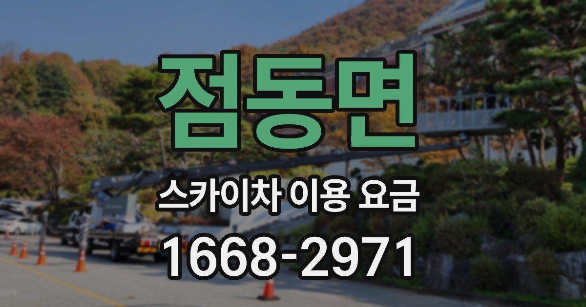 점동면 스카이차 이용 요금