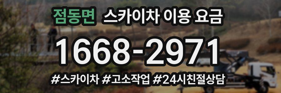 점동면 스카이차 이용 요금