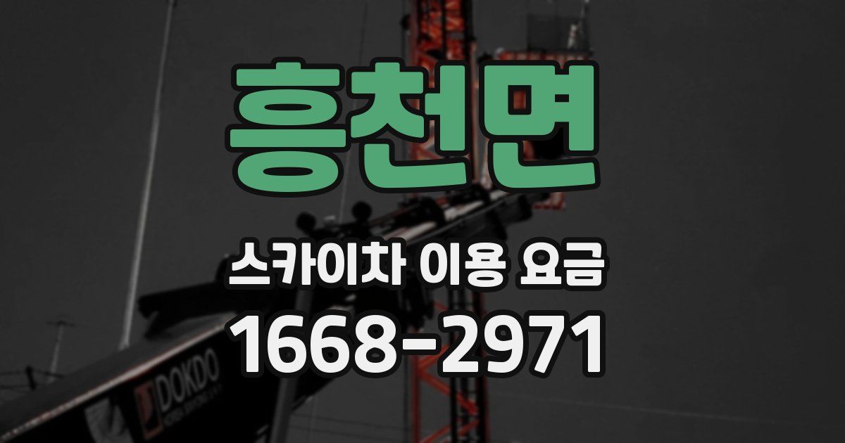 흥천면 스카이차 이용 요금