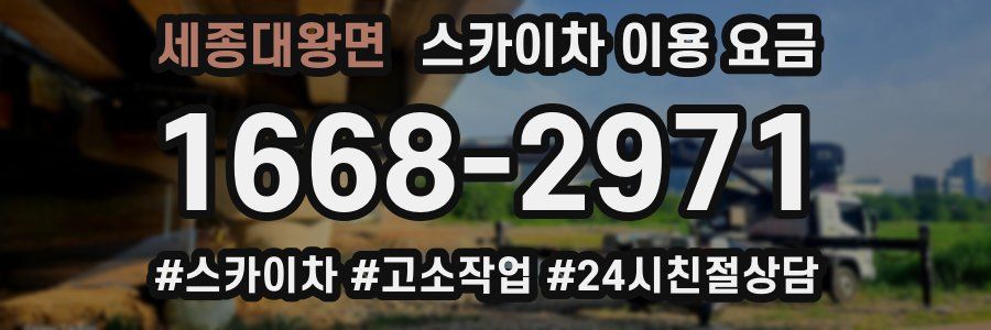 세종대왕면 스카이차 이용 요금