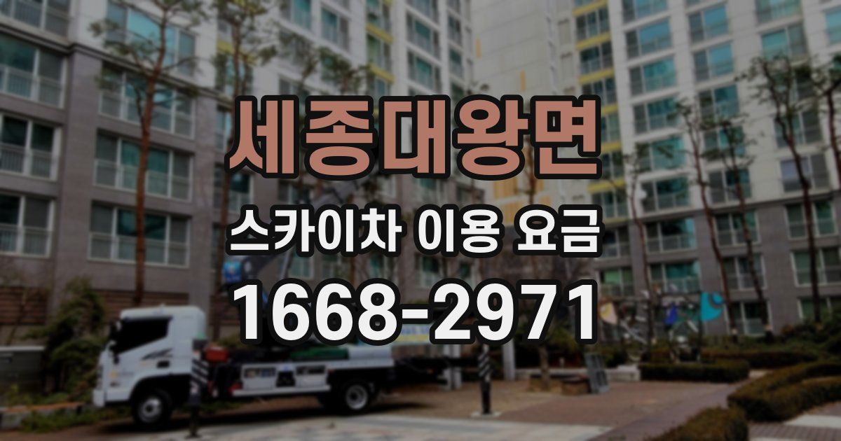 세종대왕면 스카이차 이용 요금