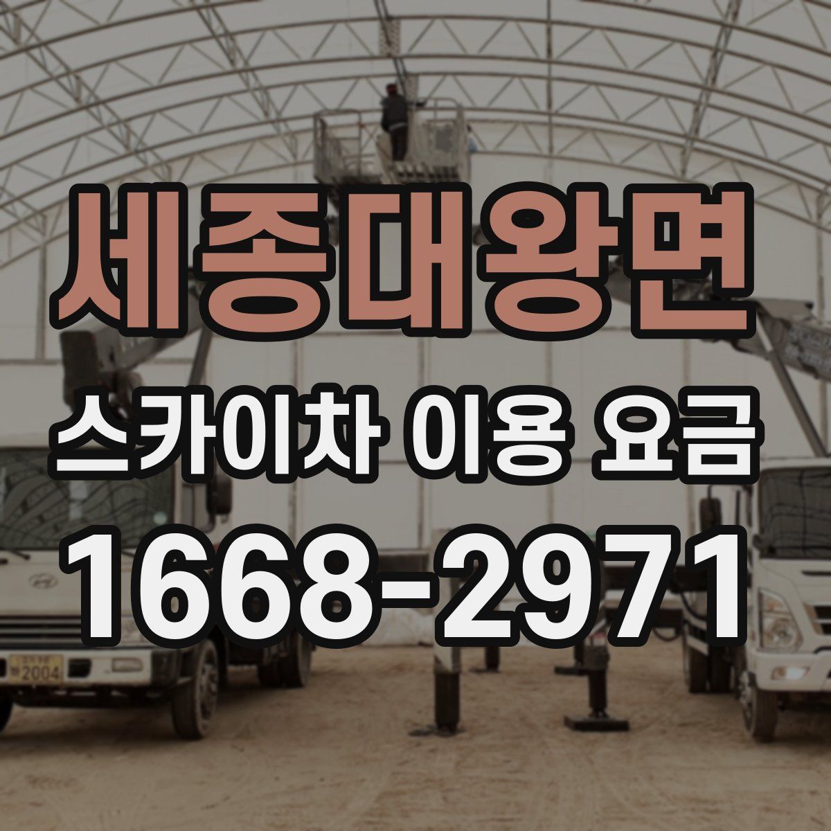 세종대왕면 스카이차 이용 요금